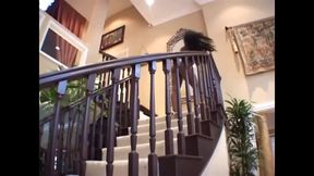 Big black pussy fucking pussy licking in 69 position