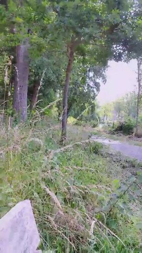 Slutboyben Cam4 Mega Sexy Public Exhibitionist Pig