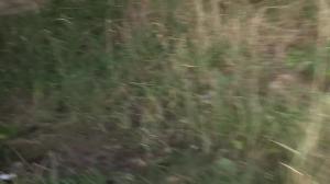 Czech Hunter - Very nice muscled whore rough handjob indoor