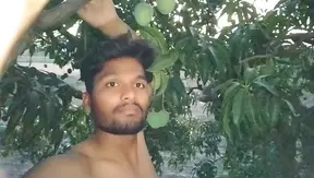 Sizzling Summer Fun, Him Seductively Sucking On A Juicy Mango Under The Crisp Tree Shade