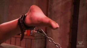Tied up slut gets whipped while hitachi seduces her pussy