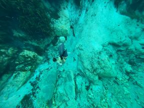 Free dive fins in crystal clear spring water