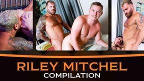 Riley Mitchell's Kinky Bear Bash ~ Hard Sex & Pride Orgies