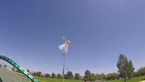 Pleasing the Victor