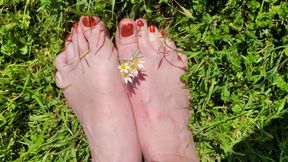 FOOT PLAY IN THE GRASS AND HAMMOCK- CUM SUCK MY TOES!