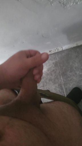 Paja Escondida Lasd
