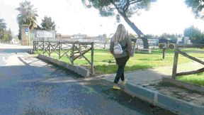 An Unplanned Walk AVI (1920x1080) FHD