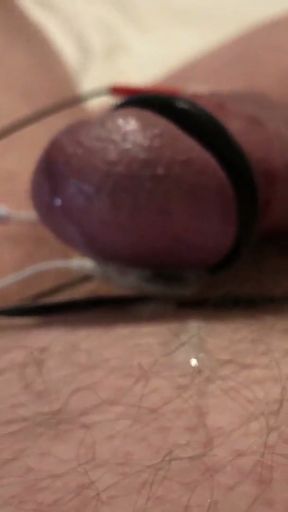 Close up view of estimmed dick and balls - hands free orgasm   Clip 1