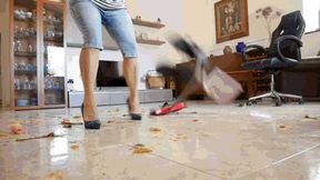 Mess in the house AVI (1920x1080) FHD