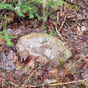 Pussy Pissing Water on the Rock