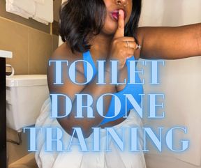 Toilet Drone Seduction