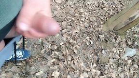 Risky Jerk off After Work Masturbation Cumshot