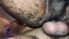 Black Breeders 70