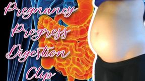 10-11 Week Pregnancy Progress Digestion Clip
