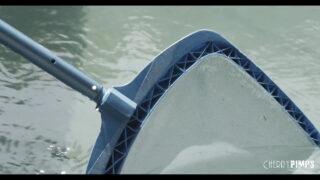 เป่าควย, อสุจิ, กินจิ๋ม – ลิฟ MILF ตัวเล็กสุดเซ็กซี่ สวมถุงน่องและส้นสูงโดนเย็ดทางทวารหนัก โดยไทเลอร์ นิกสัน