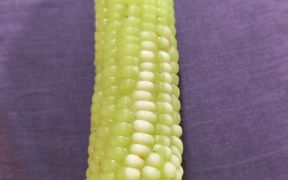 Labor Day Bash Fed Fat Whore Corn Now She's Farting