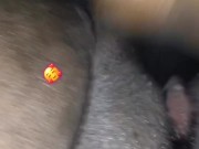 Squirtlandia Feat. Mr. Big Dick