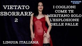 LINGUA ITALIANA - VIETATO SBORRARE 2 - I COGLIONI COME TE MERITANO SOLO L’ESPLOSIONE DELLE PALLE