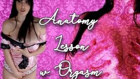 Anatomy Lesson w Orgasm wmv