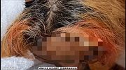 Neighbour's Wife CAUGHT me PEEPING - But she Invited me into her Room to Fuck her