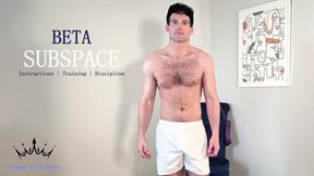 Subspace Beta Instructions