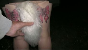 Very public walk with bright lights tail butt plug at the beach. We talk to passers by