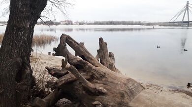 Ukraine, Kyiv, today the war is not heard