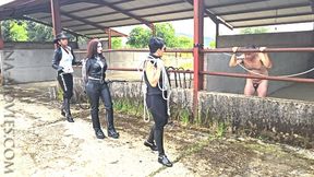 STABLE BULL WHIPPING in SPAIN - 01