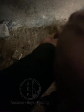 Helping Him Pee in the Street