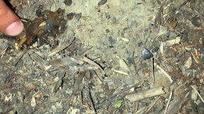 Pushing Out so Much Cum After Outdoor Cruising and Tasting Cum