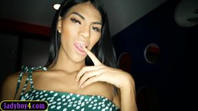 horse penis thailand tranny raw ass after a bodyrub