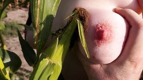 Slap my tits in corn field