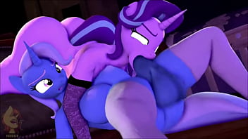 MLP - Compilation P7