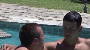 Splash