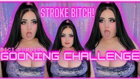 Stroke Bitch! Dick Numbing Gooning Challenge! (1080 WMV)