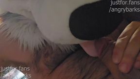 Excellent Men get rigid from praise! Vocal Mutt Murrsuiter @Angrybarks pops