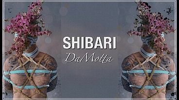 Shibari DaMotta