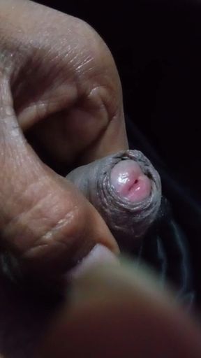 Pennes revel my new short