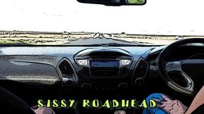 AUDIO ONLY - Brandy the homo shemale breaks in a sissy road-head style