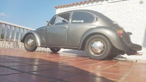 Barbara warms up the beetle