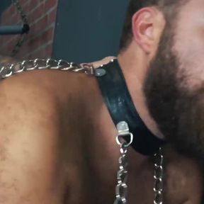 BEARFILMS Topher Michaels Barebacks Hairy Sub In Dungeon