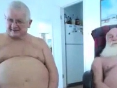 Two Silver Foxes Play on Cam