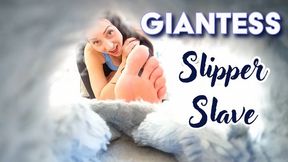 Giantess Slipper Slave - Stella Liberty makes your worship her giantess feet - 4K MP4