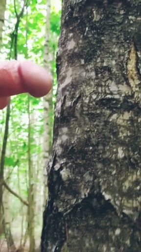 Contact with nature ended with a wank between the trees and a juicy orgasm.   Clip 1