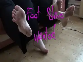 Foot Slave Wanted