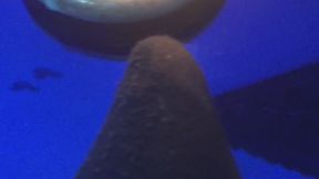 ROLEPLAY MINECRAFT CAMPFIRE