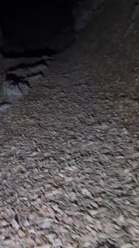 Night Hiking and Remove Most of My Clothes