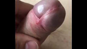 SPH of cucks small clitty