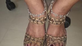 Honeymoon with Me Come