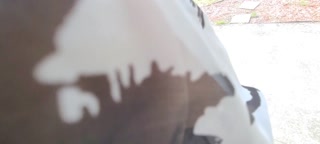 "FUCK YOUR MANS FRIEND AT COOKOUT" LOUD MOANING FANTASY FUCK